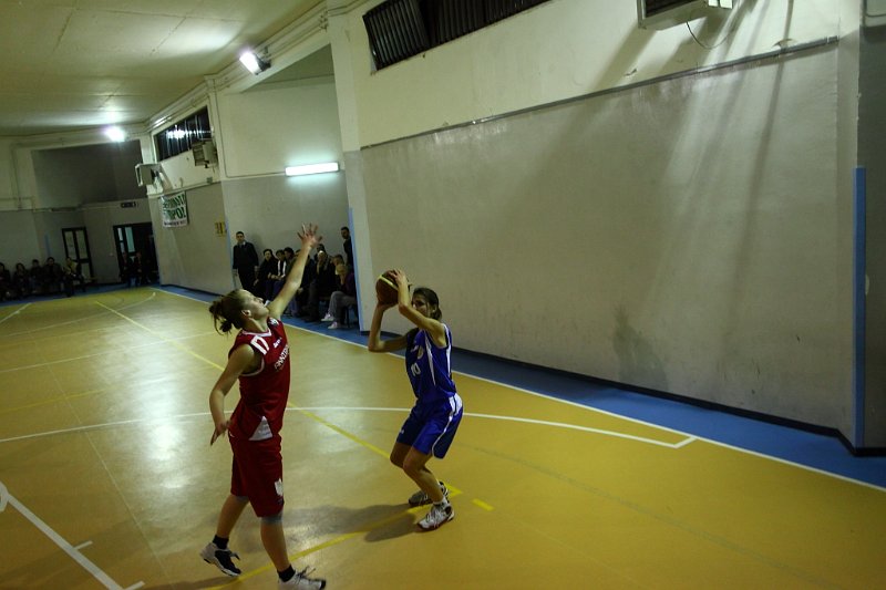 Basket 443028